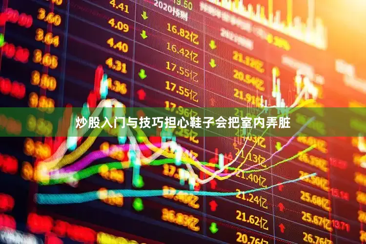 炒股入门与技巧担心鞋子会把室内弄脏