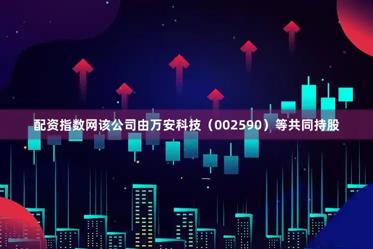 配资指数网该公司由万安科技（002590）等共同持股